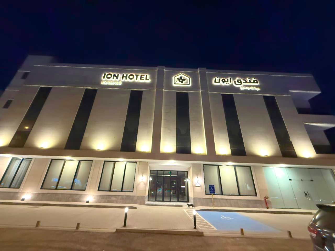 ايون الملك عبد العزيز